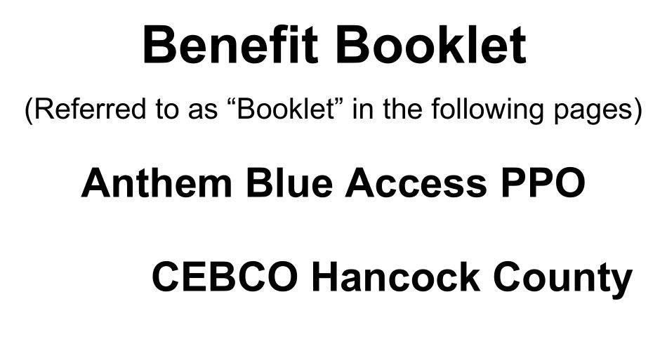 A image preview of the Medical benefit booklet for the PPO plan.